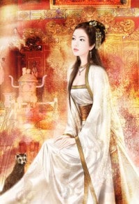 重生佳婿秦飞